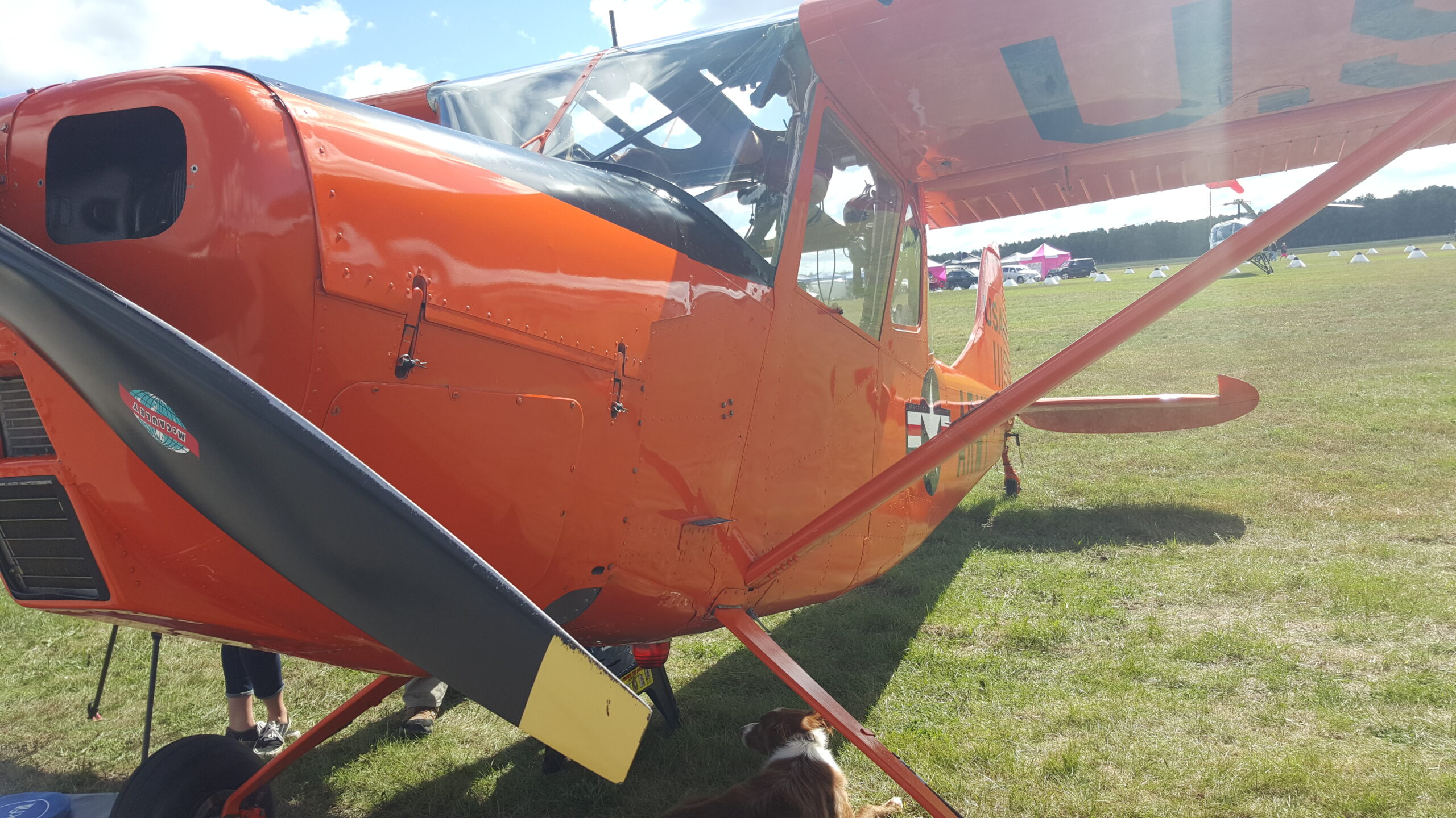 A Closeup Look at a Orange Plane on display on a field, being displayed